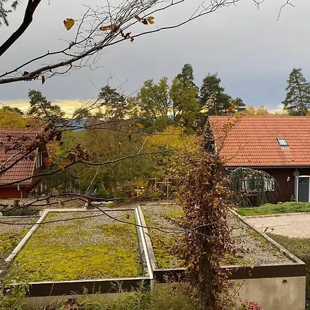 Le Galtz - Marck * Ammerschwihr