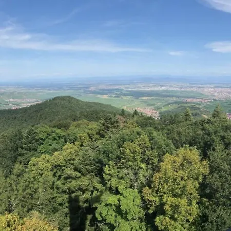 Apartament Le Galtz - Marck *