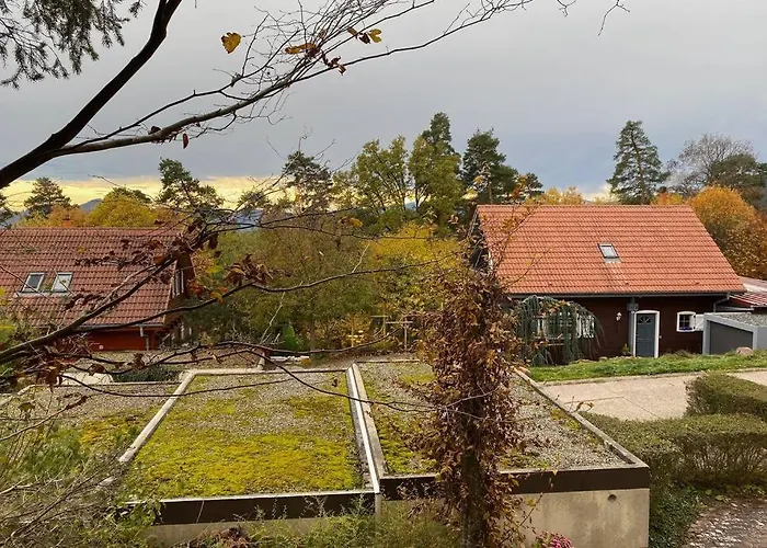 Le Galtz - Marck * Ammerschwihr