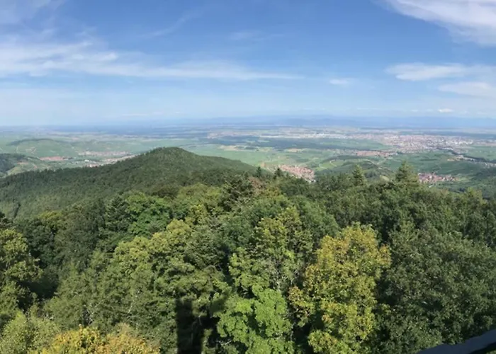 Appartement Le Galtz - Marck *